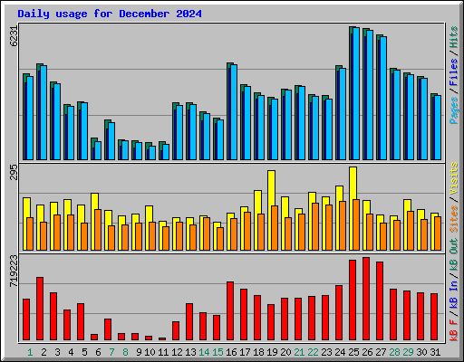 Daily usage for December 2024