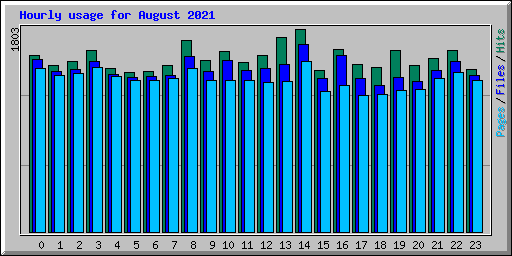 Hourly usage for August 2021