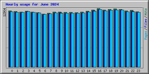 Hourly usage for June 2024
