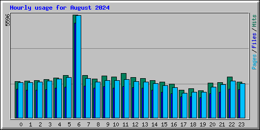 Hourly usage for August 2024
