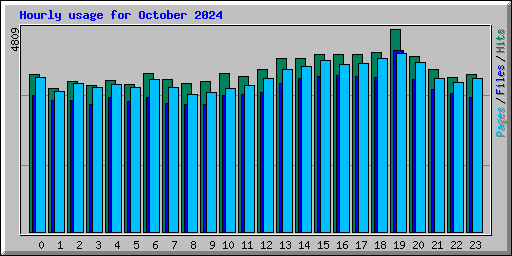 Hourly usage for October 2024