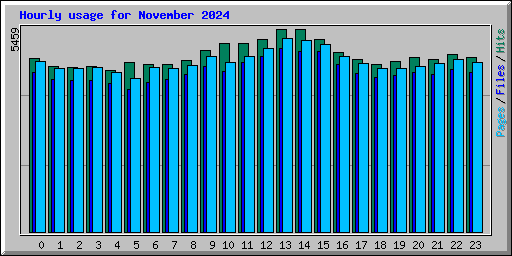 Hourly usage for November 2024
