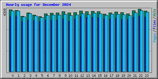 Hourly usage for December 2024