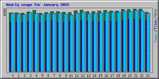 Hourly usage for January 2025