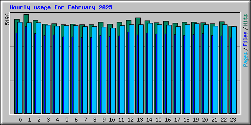 Hourly usage for February 2025