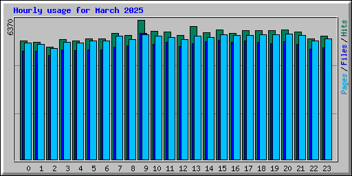 Hourly usage for March 2025